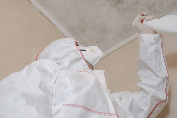  Richmond, TX Mold Removal Pros