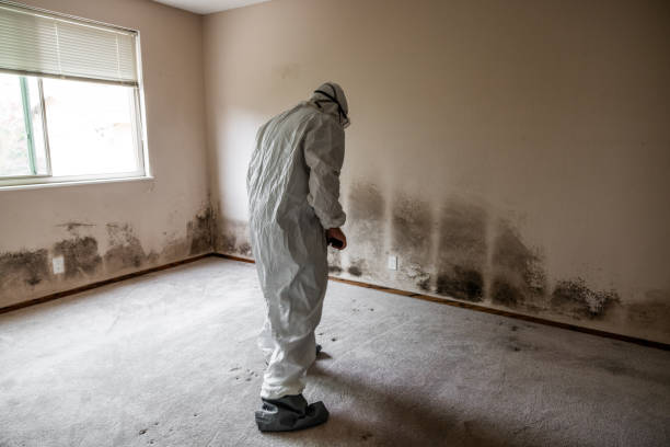 Trusted Richmond, TX Mold Remediation Experts
