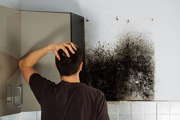 Best Bathroom Mold Remediation in Richmond, TX